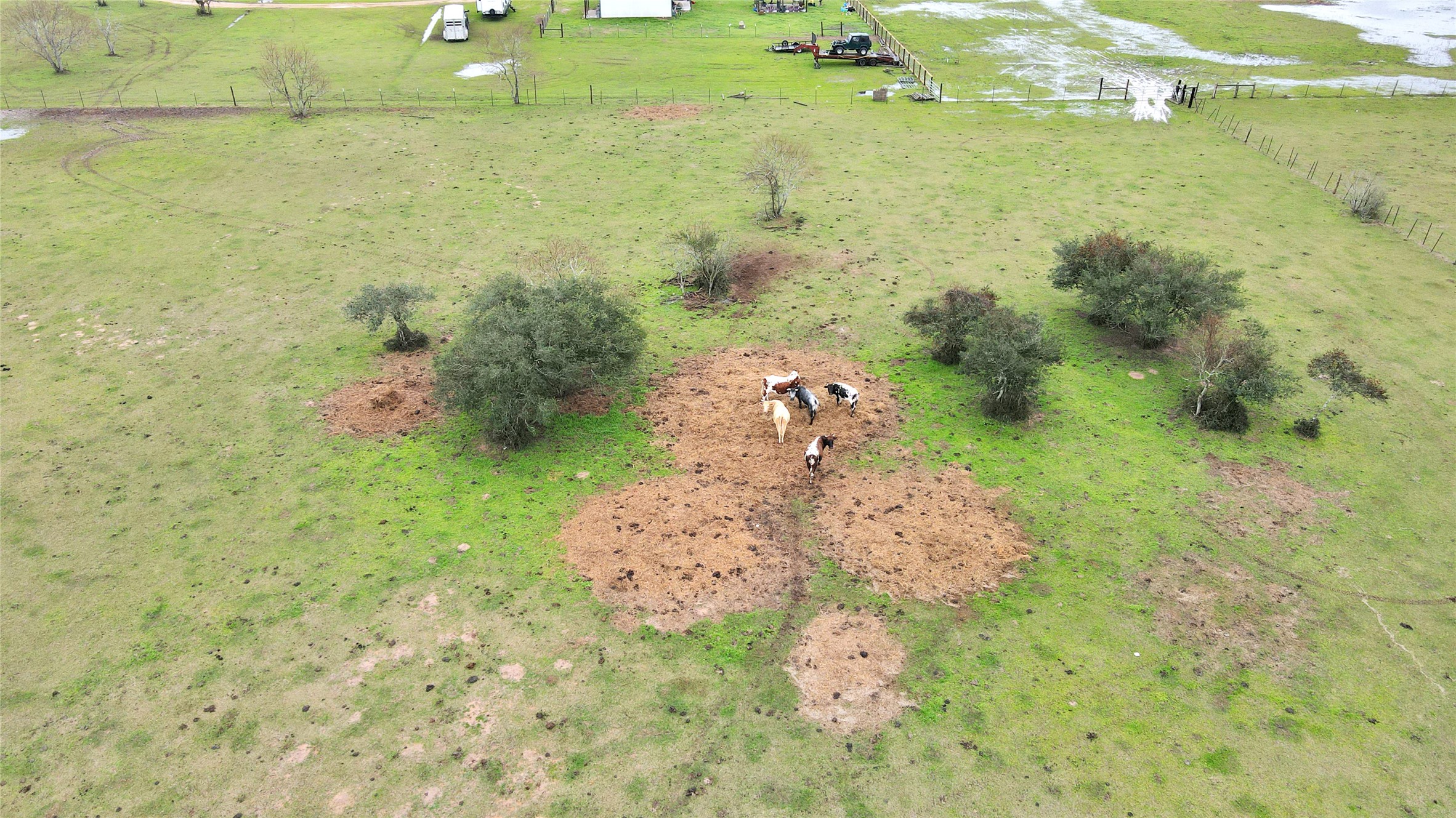3134 Old Columbus Road North Sealy, TX 77474 - Photo 27 of 34 a view of a pathway of a field with an ocean view