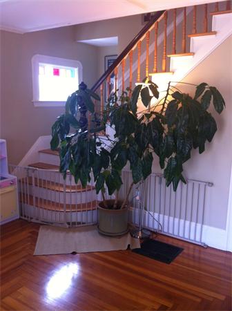 127 Paradise Road Swampscott, MA 01907 - Photo 2 of 13 Gallery Image 2