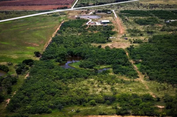 a view of a forest