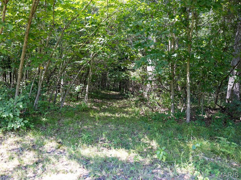 38692 Monroe Road Stoutsville, MO 65283 - Photo 64 of 72 Gallery Image 64