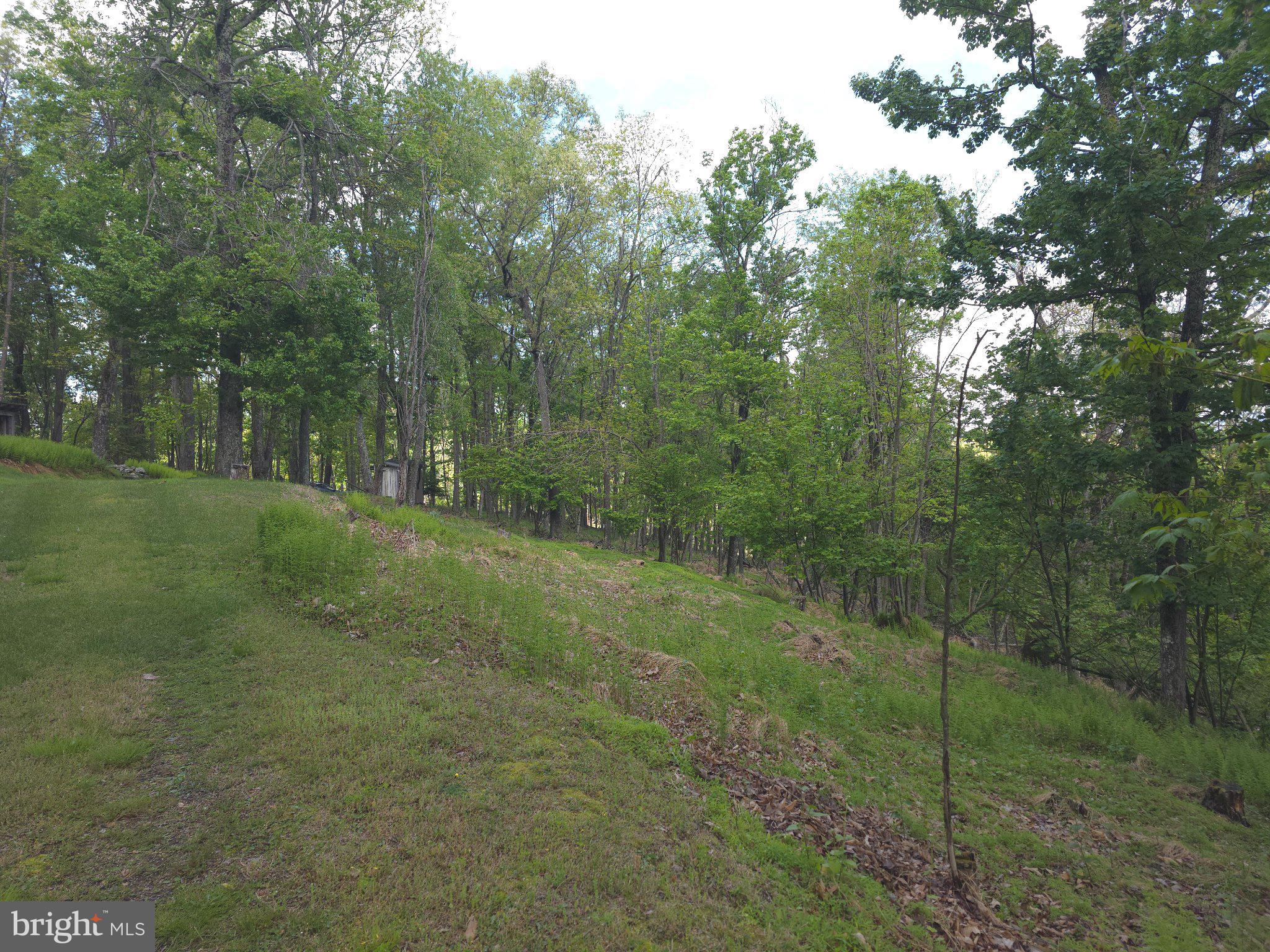 152 Sharp Ridge Lane Franklin, WV 26807 - Photo 51 of 53 a view of a lush green forest