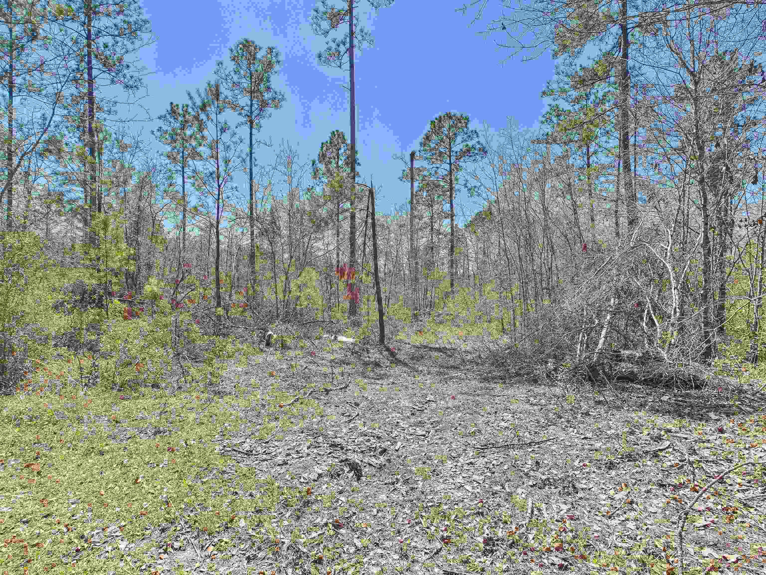 0 Canopy Lane Perry, FL 32347 - Photo 14 of 25 Gallery Image 14