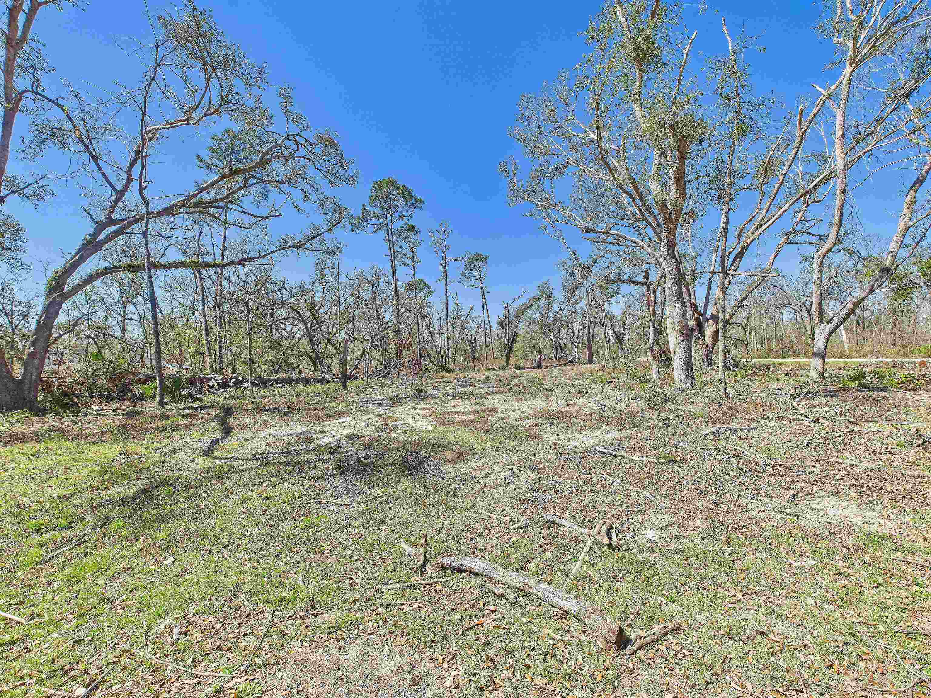 0 Canopy Lane Perry, FL 32347 - Photo 20 of 25 Gallery Image 20