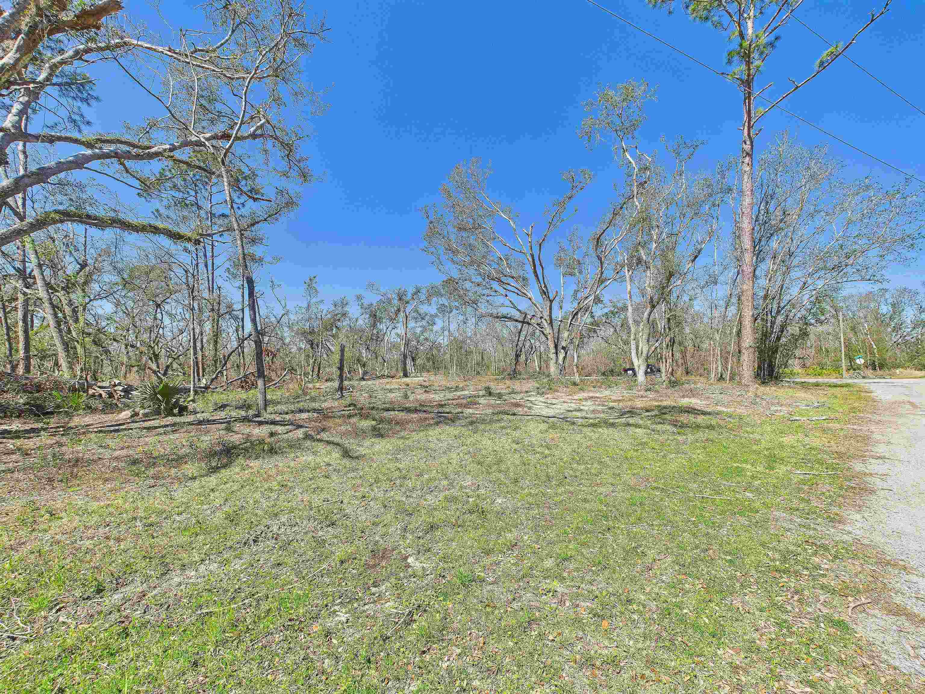 0 Canopy Lane Perry, FL 32347 - Photo 21 of 25 Gallery Image 21