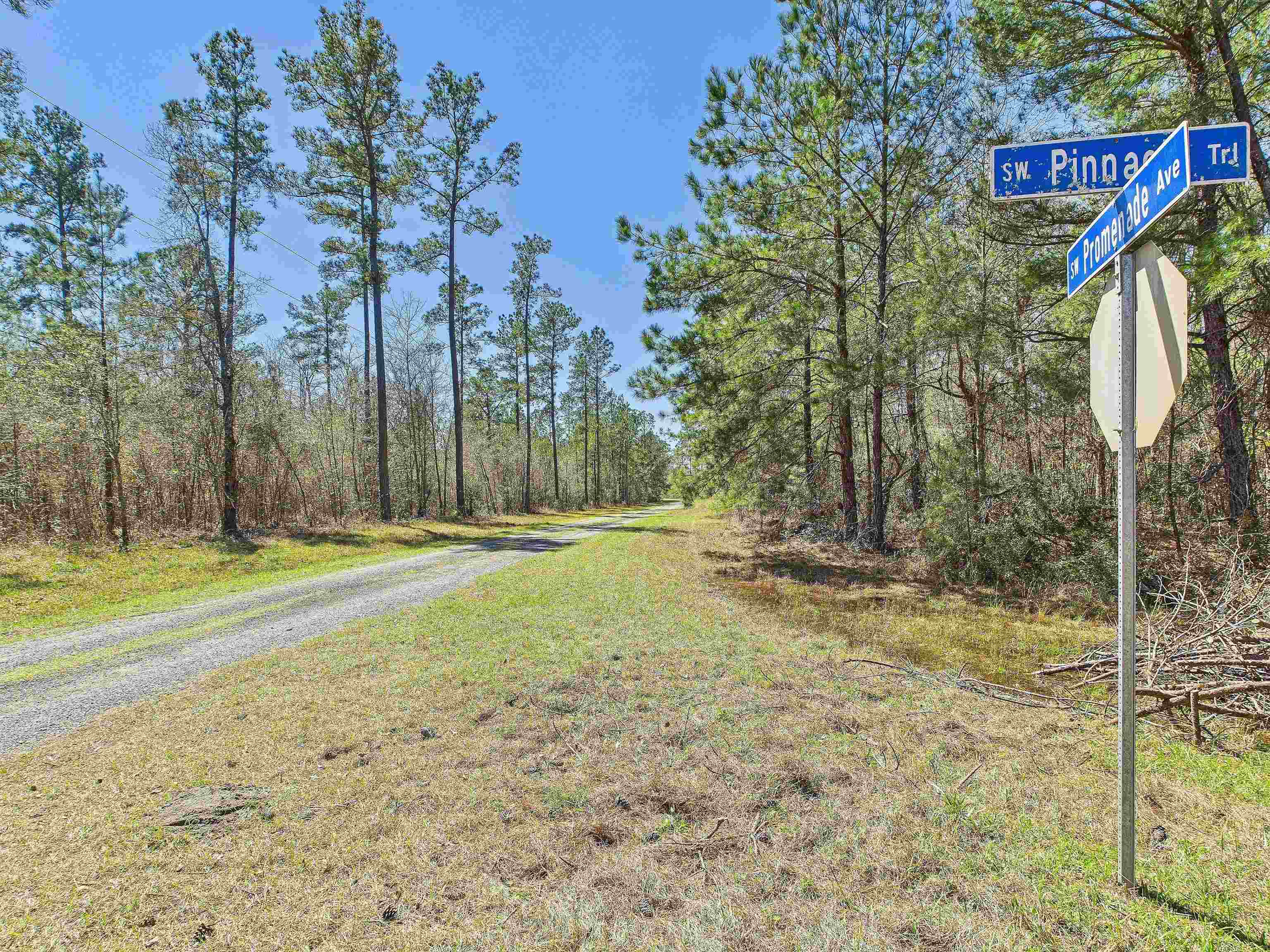 0 Canopy Lane Perry, FL 32347 - Photo 8 of 25 Gallery Image 8