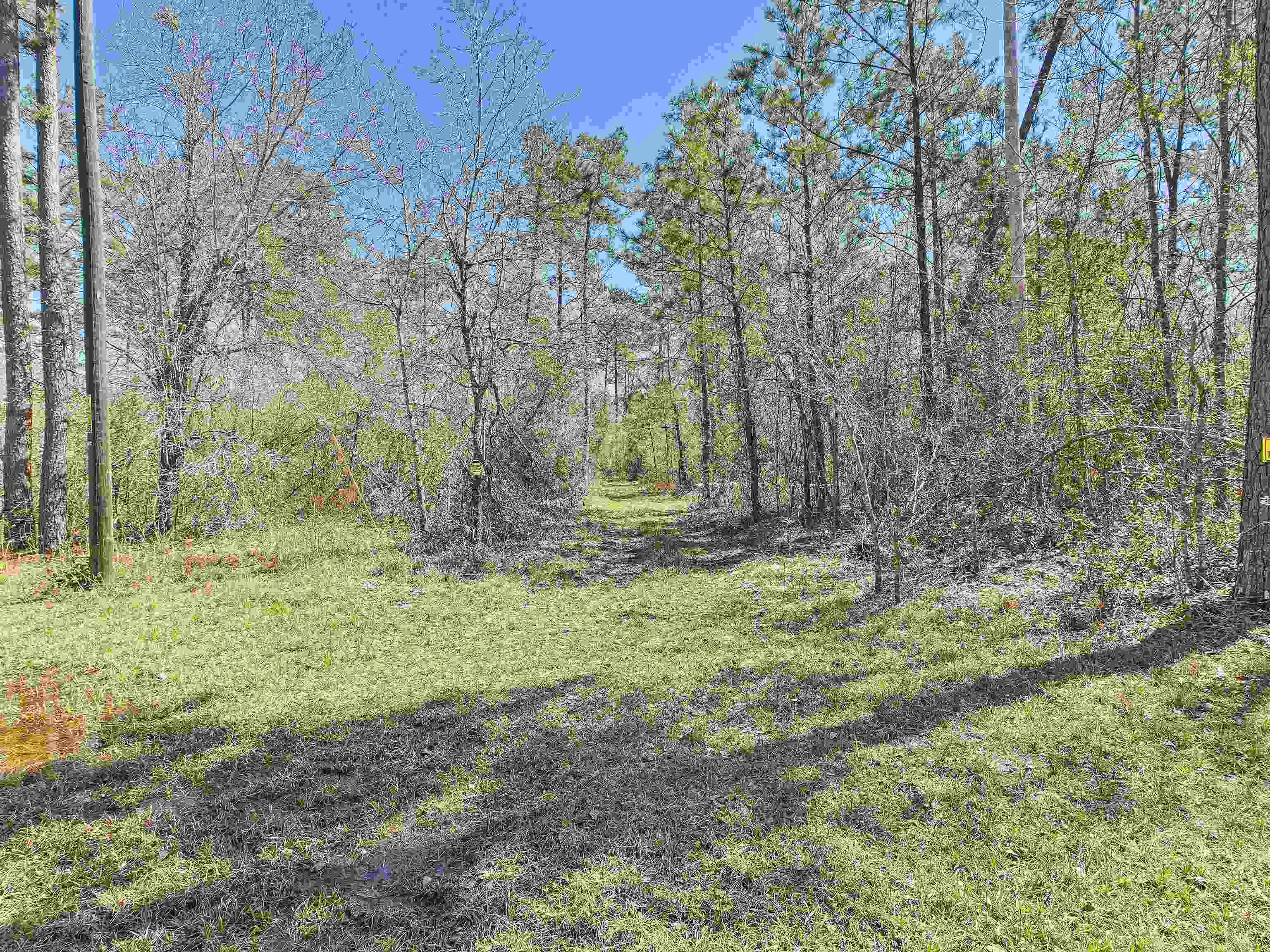 0 Canopy Lane Perry, FL 32347 - Photo 9 of 25 Gallery Image 9
