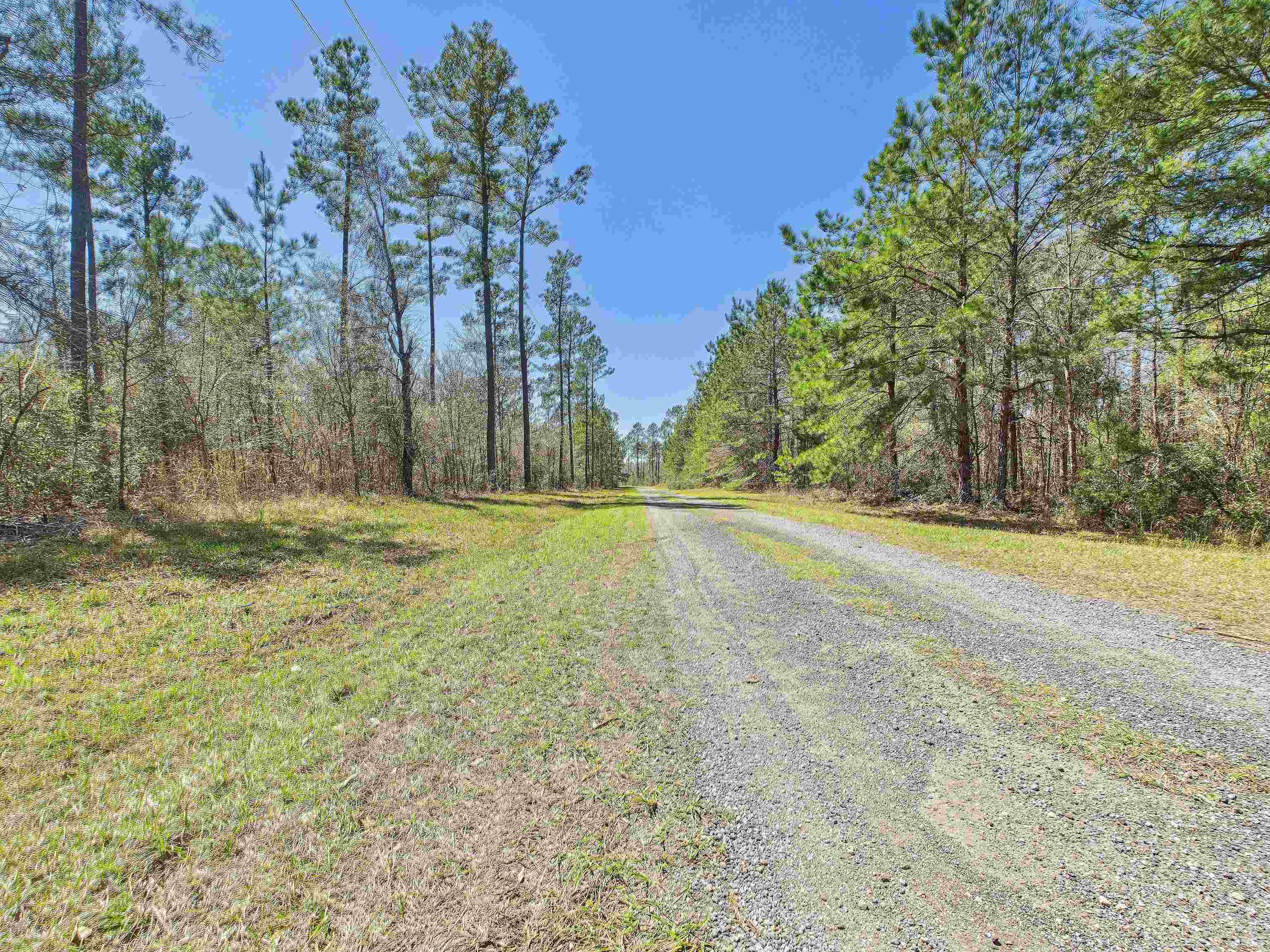 0 Canopy Lane Perry, FL 32347 - Photo 10 of 25 Gallery Image 10