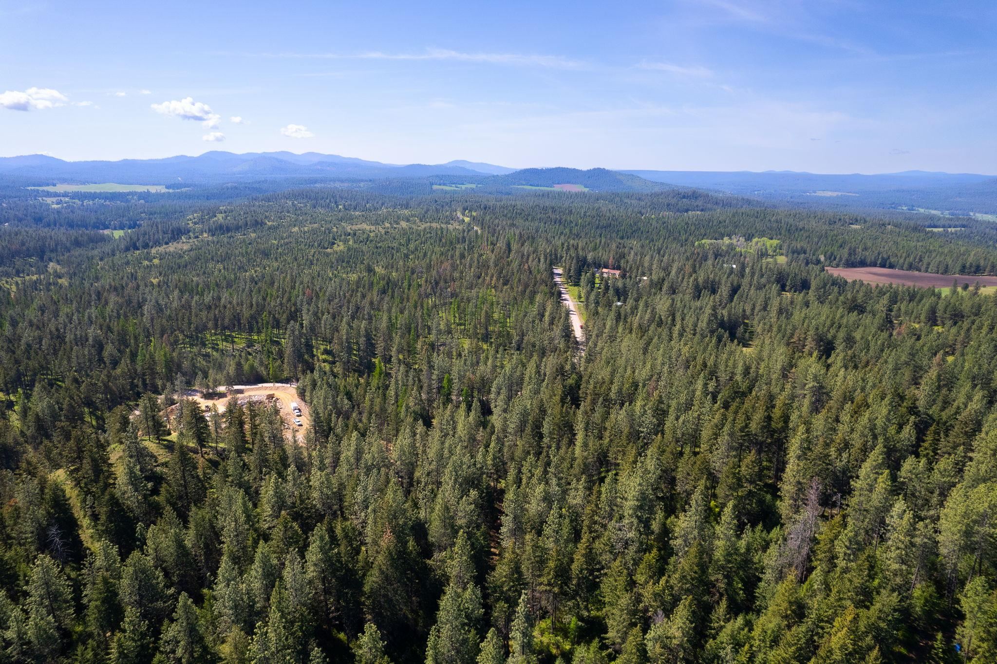3436 West Jump Off Road Valley, WA 99181 - Photo 3 of 10