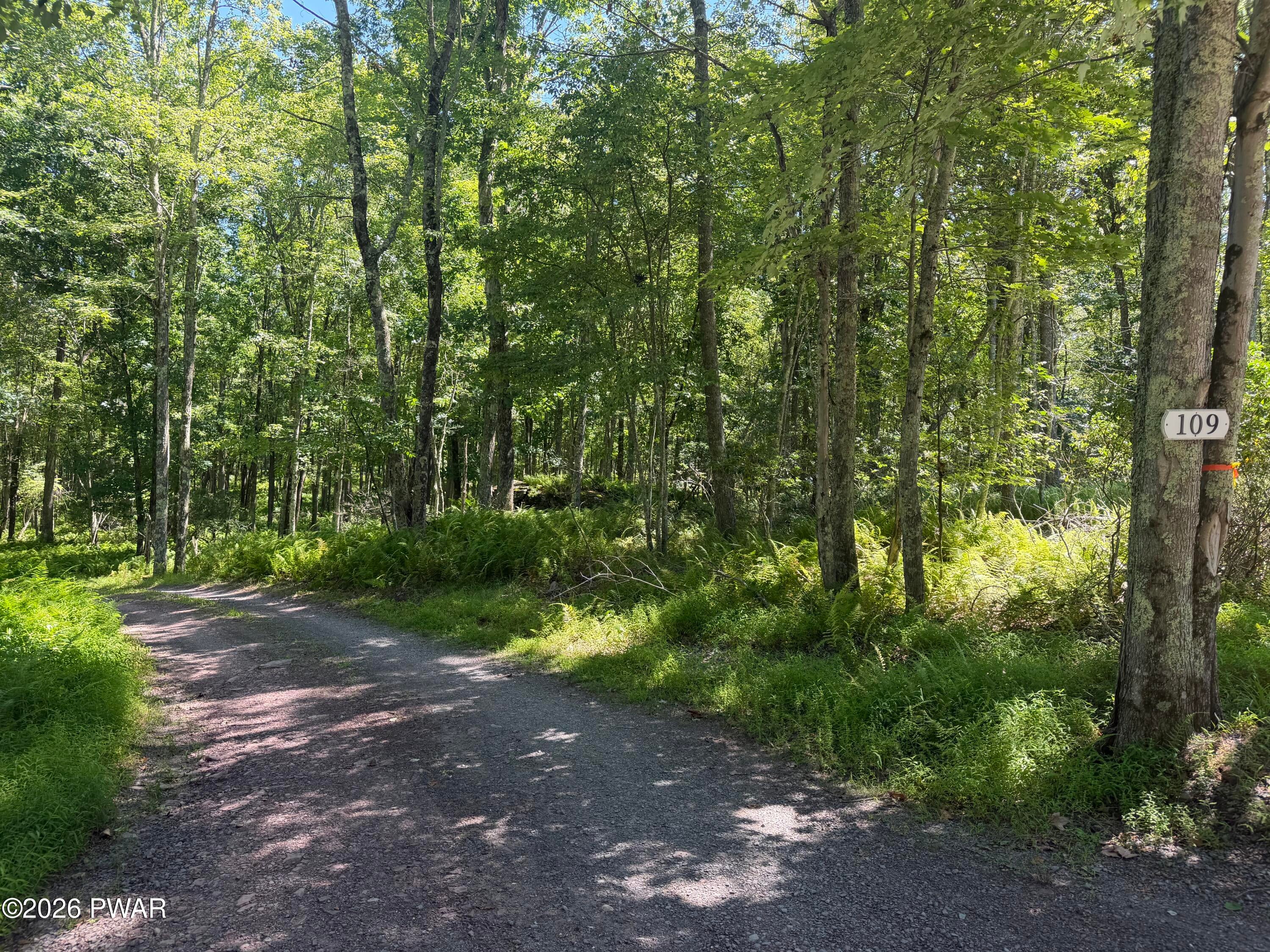 Lot 14 Woodlyn Acres Road Hawley, PA 18428 - Photo 5 of 13 Gallery Image 5