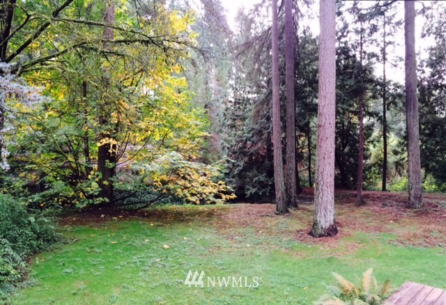 6727 Phillips Road Southwest Lakewood, WA 98498 - Photo 17 of 18 Gallery Image 17
