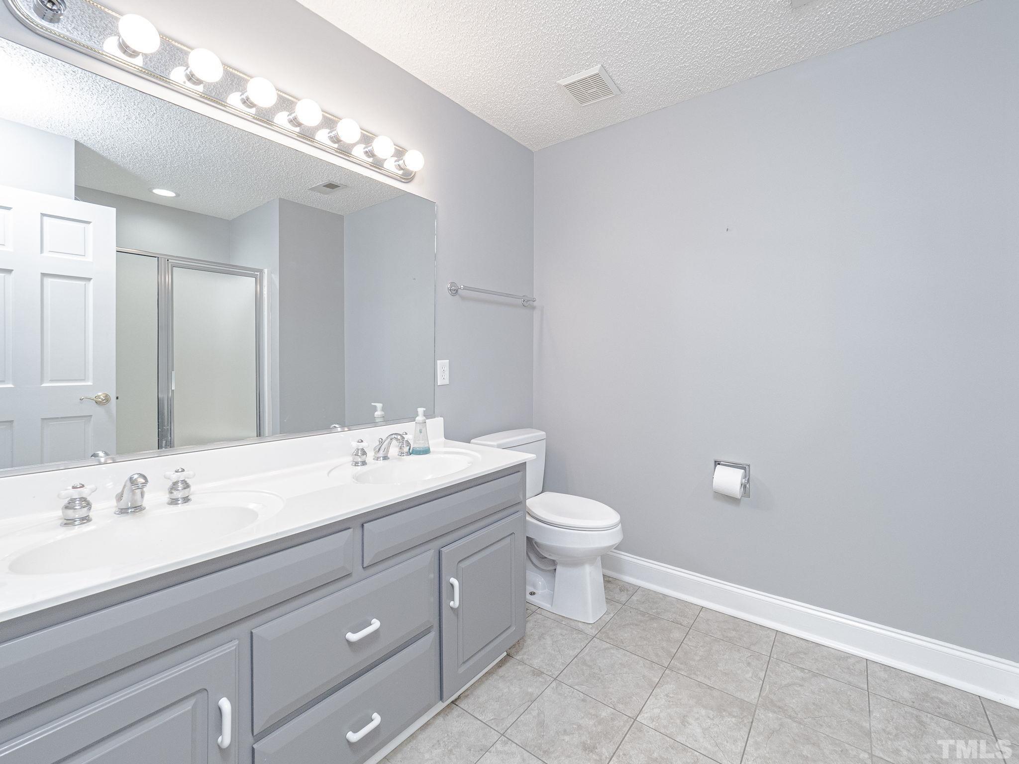 726 Pope Lake Road Angier, NC 27501 - Photo 21 of 29 a bathroom with a sink a toilet and a mirror