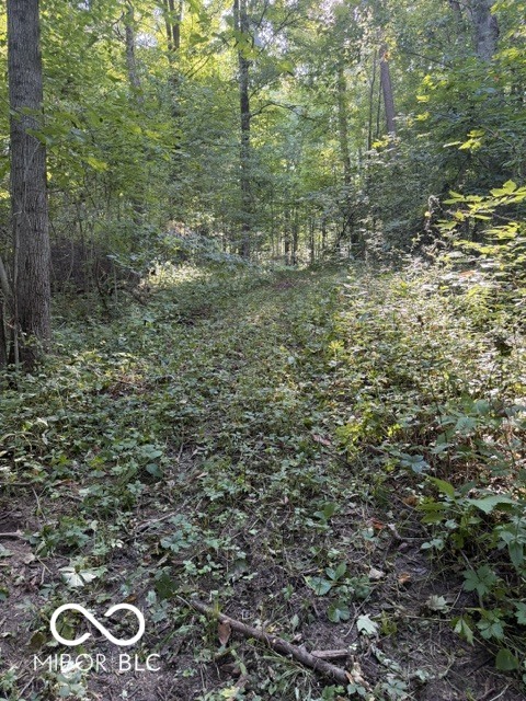 0 Coloma Road Rockville, IN 47872 - Photo 10 of 28 Gallery Image 10