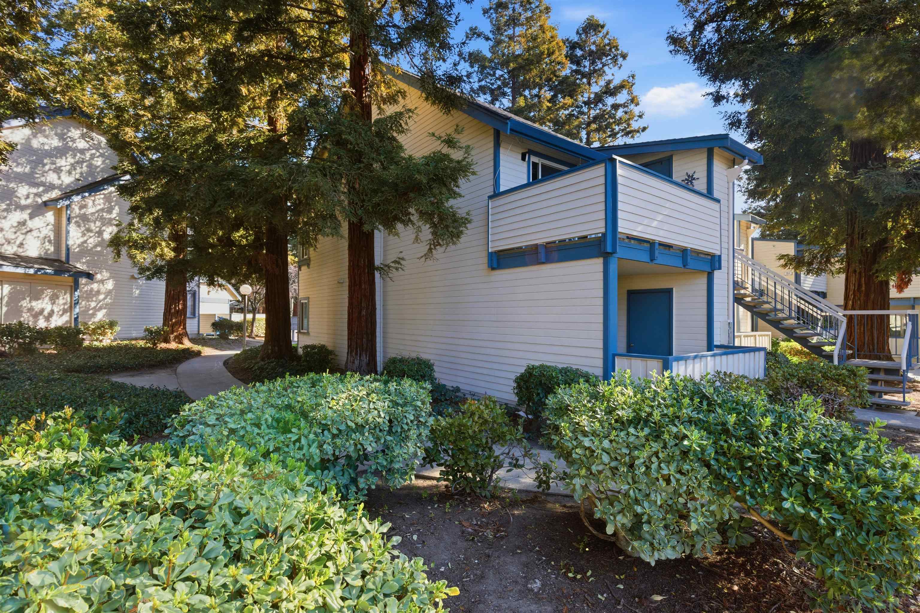 370 Sequim Common Fremont, CA 94539 - Photo 15 of 28 a view of a yard with plants and trees
