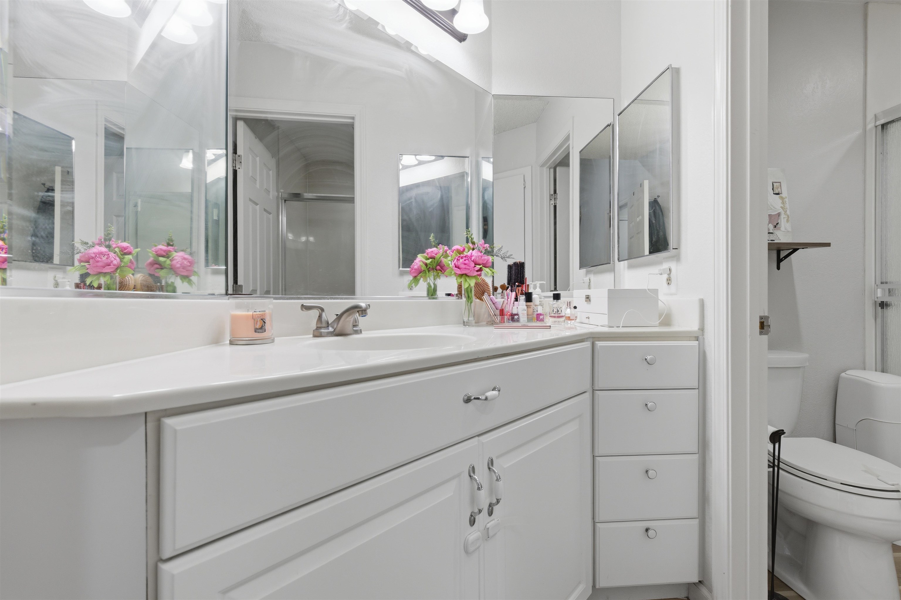 370 Sequim Common Fremont, CA 94539 - Photo 4 of 28 a bathroom with a double vanity sink mirror and toilet