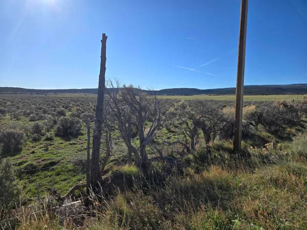 $365,000 | Tbd Tbd Tbd Glade Park, Glade Park, CO 81523