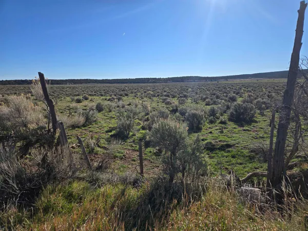 $365,000 | Tbd Tbd Tbd Glade Park, Glade Park, CO 81523