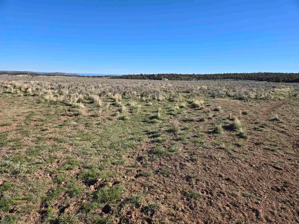 $365,000 | Tbd Tbd Tbd Glade Park, Glade Park, CO 81523