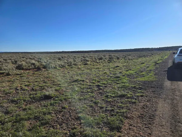 $365,000 | Tbd Tbd Tbd Glade Park, Glade Park, CO 81523