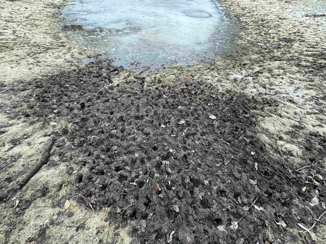 $1,399,000 | 123.5 M/l Acres State Road 81, Beloit, WI 53511