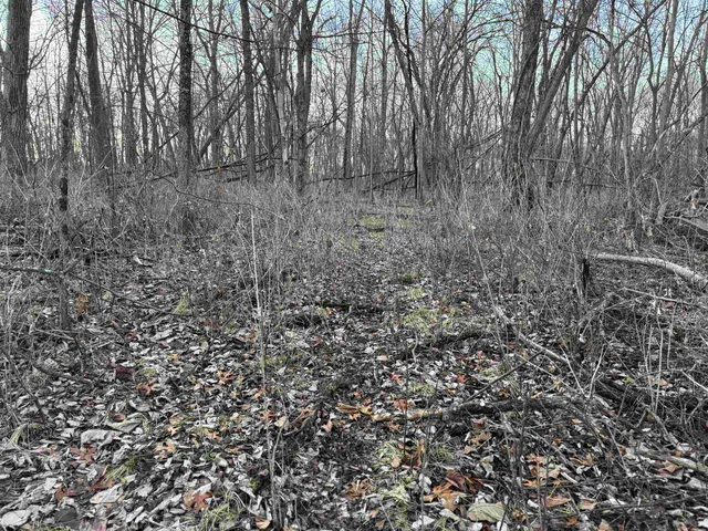 $1,399,000 | 123.5 M/l Acres State Road 81, Beloit, WI 53511