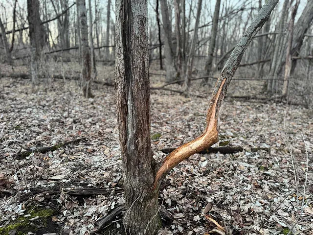 $1,399,000 | 123.5 M/l Acres State Road 81, Beloit, WI 53511