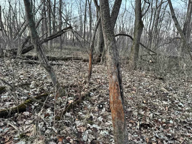 $1,399,000 | 123.5 M/l Acres State Road 81, Beloit, WI 53511