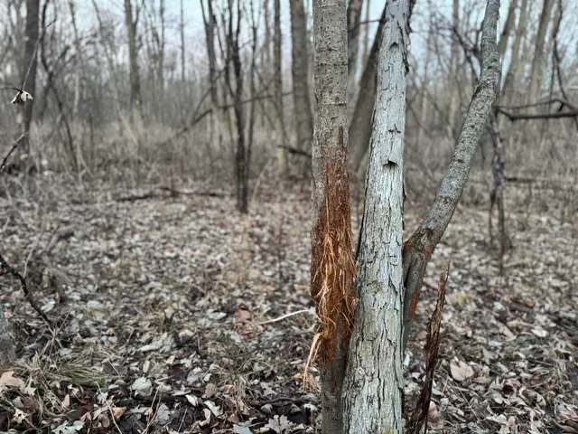 $1,399,000 | 123.5 M/l Acres State Road 81, Beloit, WI 53511