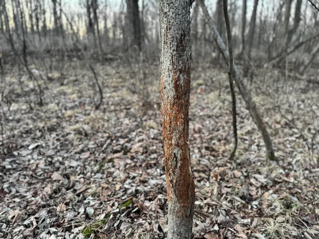 $1,399,000 | 123.5 M/l Acres State Road 81, Beloit, WI 53511