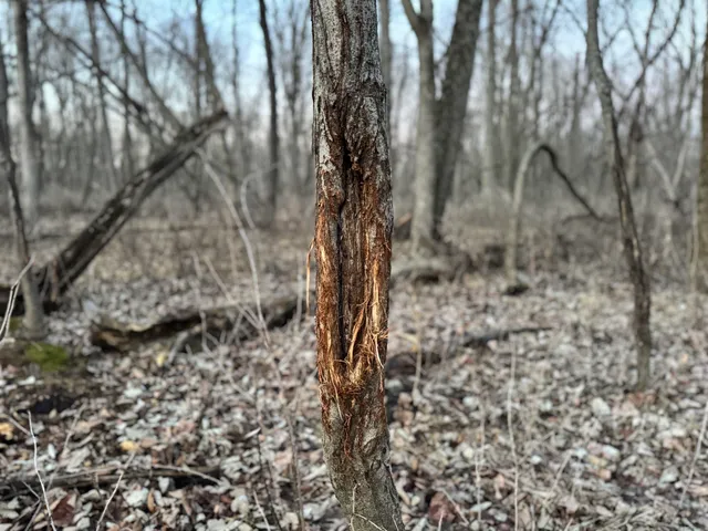 $1,399,000 | 123.5 M/l Acres State Road 81, Beloit, WI 53511