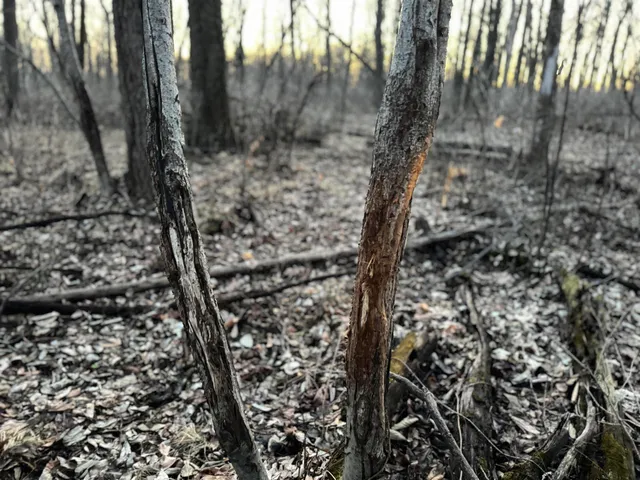 $1,399,000 | 123.5 M/l Acres State Road 81, Beloit, WI 53511