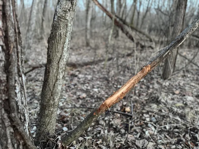 $1,399,000 | 123.5 M/l Acres State Road 81, Beloit, WI 53511