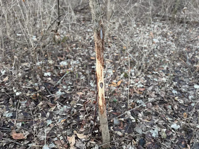 $1,399,000 | 123.5 M/l Acres State Road 81, Beloit, WI 53511