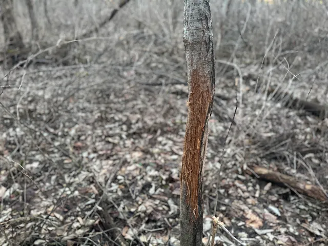 $1,399,000 | 123.5 M/l Acres State Road 81, Beloit, WI 53511