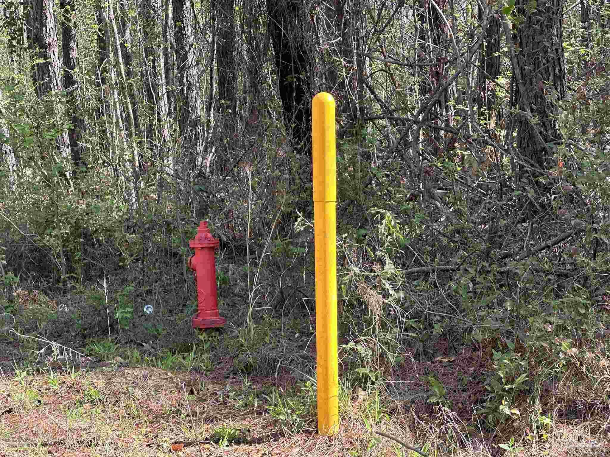 Parcel J Lett Road Frisco City, AL 36445 - Photo 6 of 8