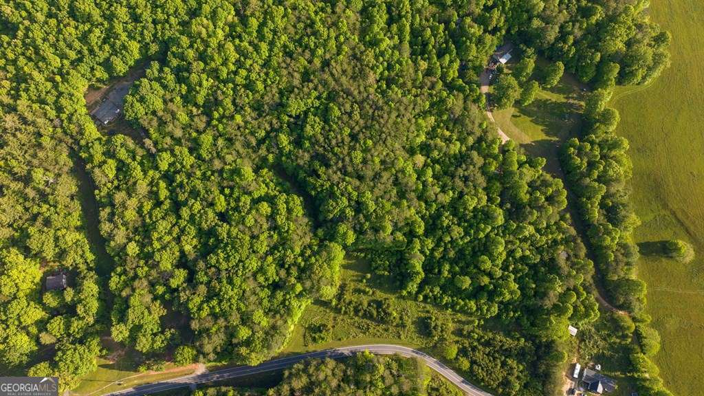 3 West Gum Log Road Warne, NC 28909 - Photo 6 of 14