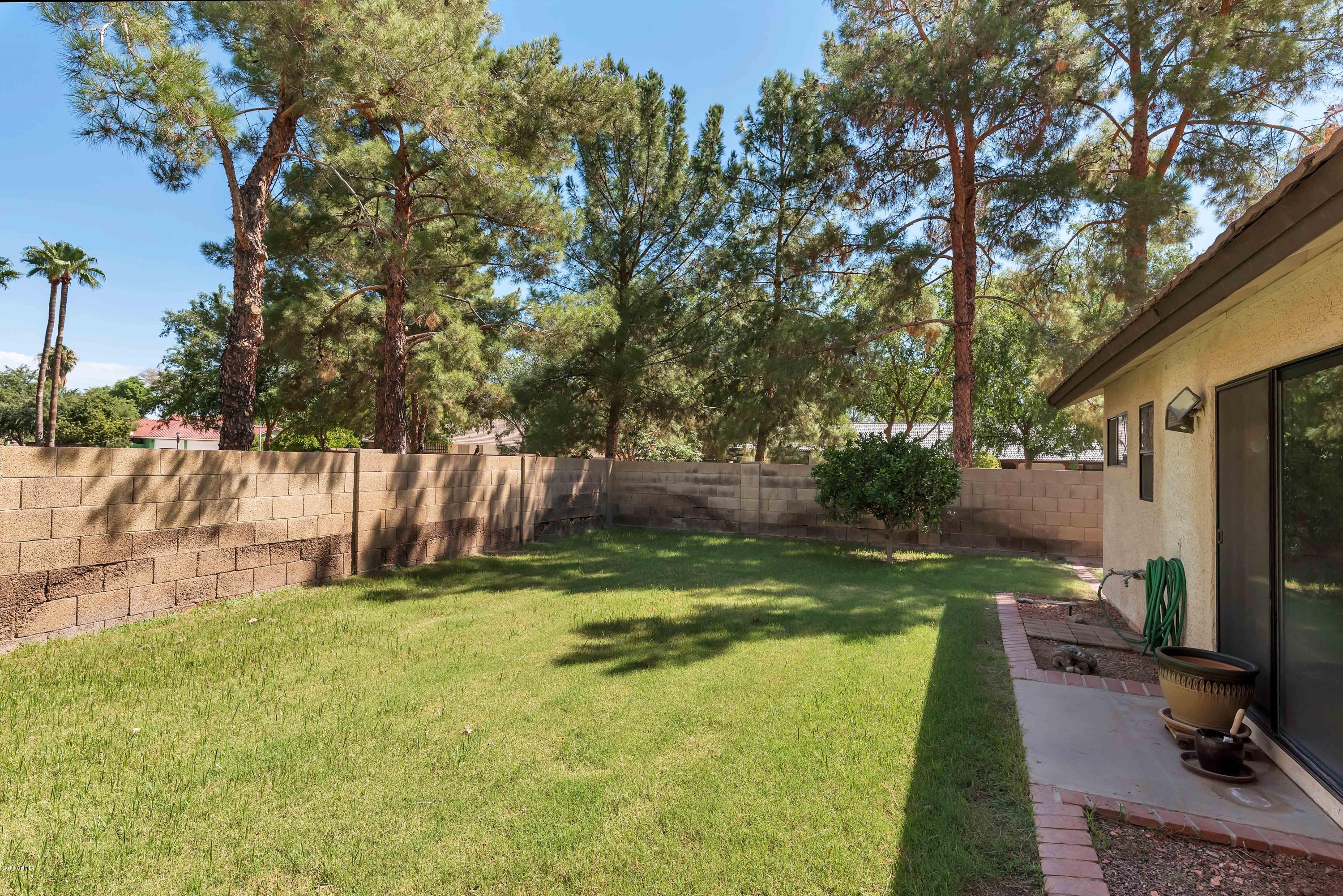 462 East Harwell Road Gilbert, AZ 85234 - Photo 25 of 44 Backyard