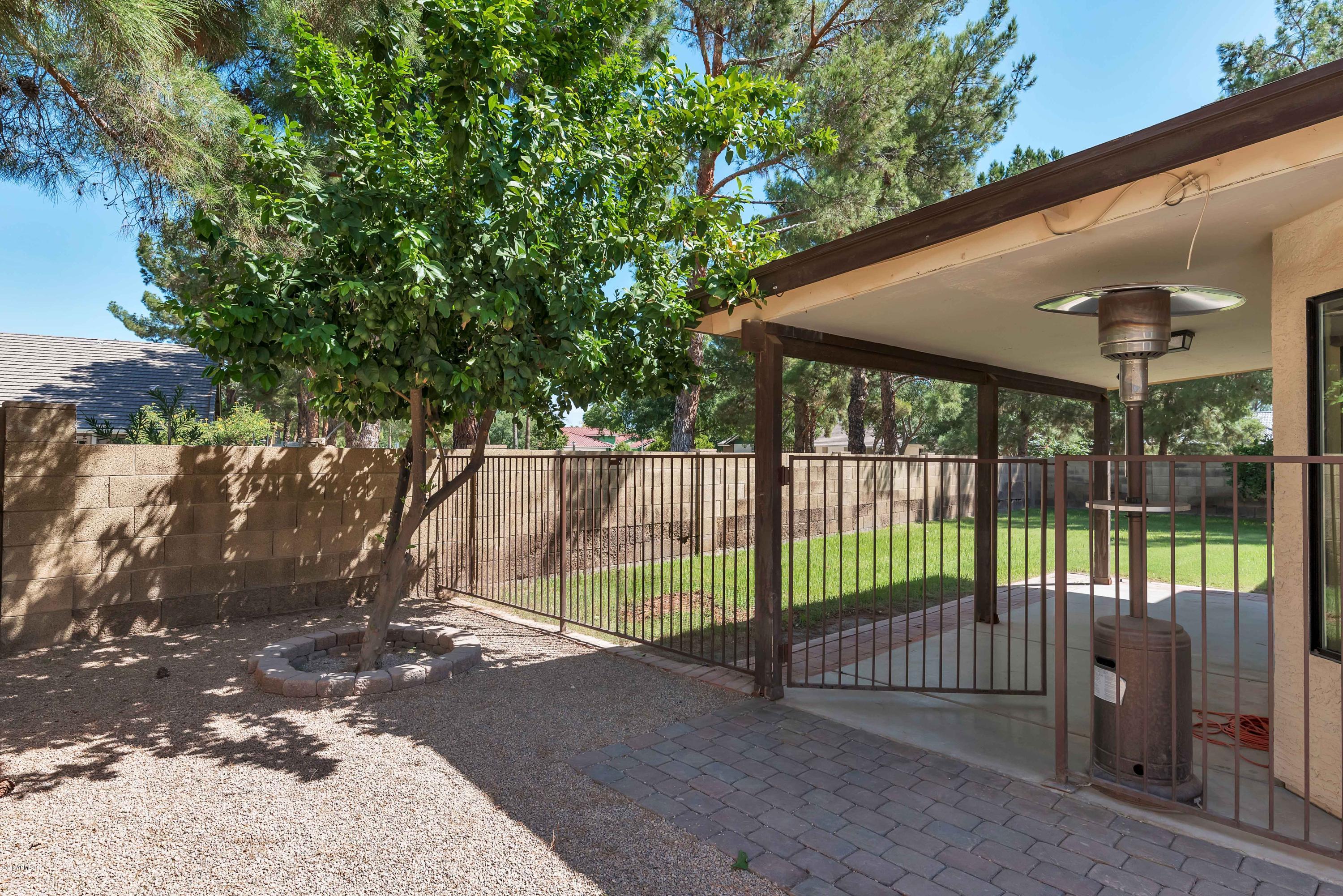 462 East Harwell Road Gilbert, AZ 85234 - Photo 27 of 44 Dog Run