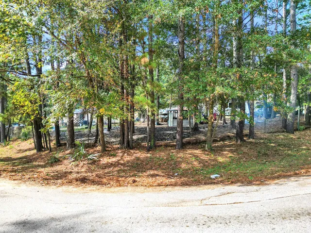 a view of a yard with a tree