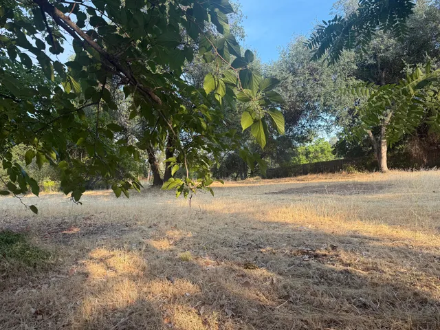 a view of dirt yard with a trees