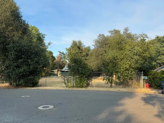 a view of a street with trees and bushes