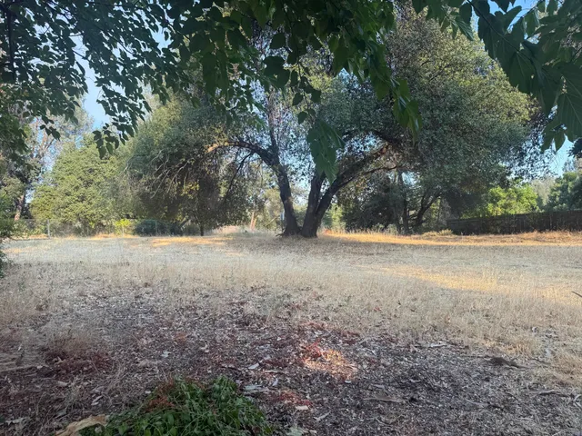 a view of dirt yard with a tree