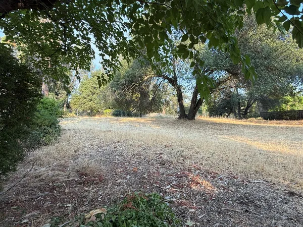 a view of dirt yard with a trees