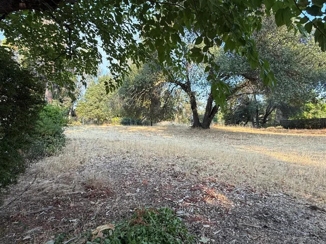 a view of dirt yard with a trees