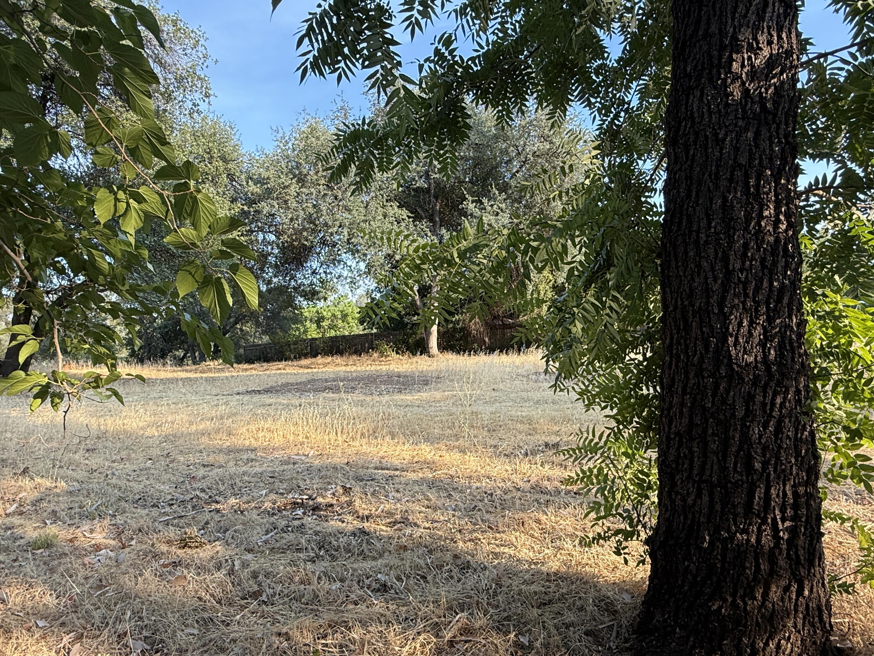 3293 Middleton Lane Redding, CA 96002 - Photo 8 of 11 Middleton