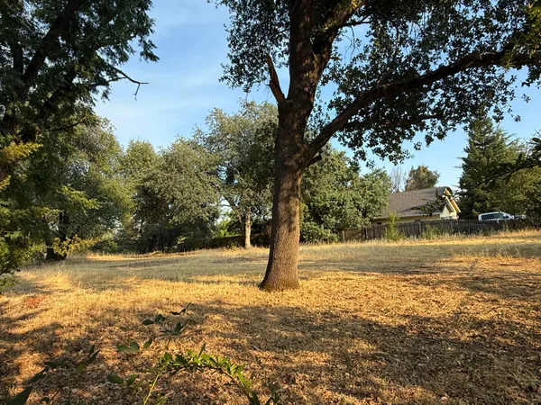 a view of yard with swimming pool and trees