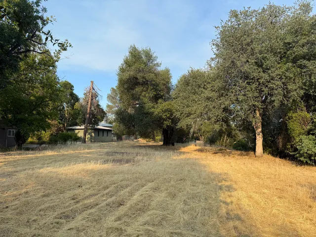 a view of a yard with trees in the background