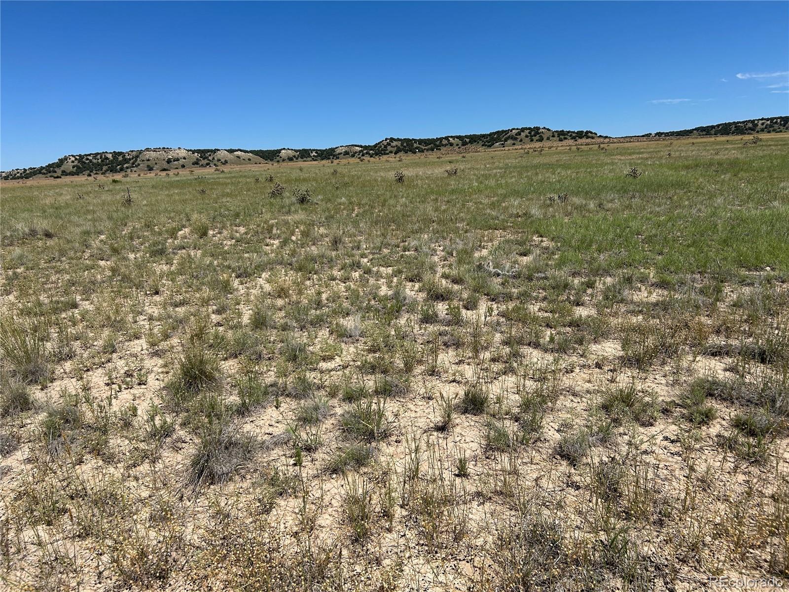 Lot 4 Outback Ranch Model, CO 81059 - Photo 18 of 20