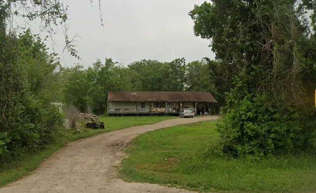 a view of a back yard with green space