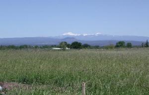 5221 Hopson Road Anderson, CA 96007 - Photo 3 of 3 Listing Photo