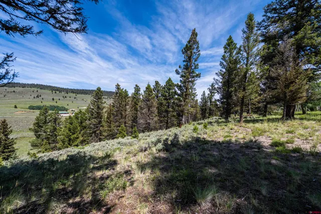 a view of a lake with a yard